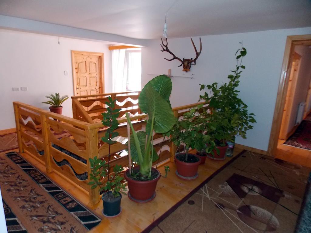 Pensiunea Paradiso Poiana Teiului Экстерьер фото
